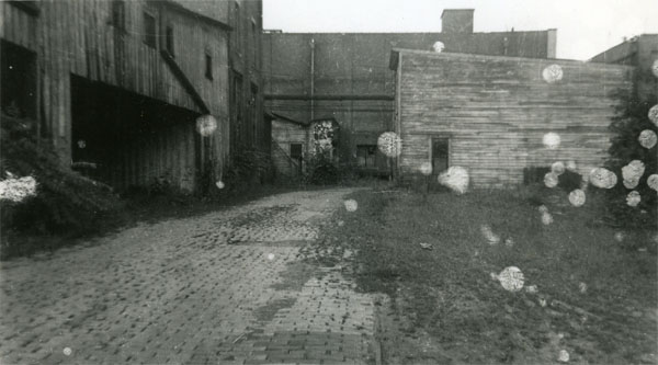 Abbott Ice and Packing Plant, Photo 3