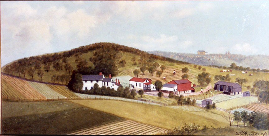 Oil Painting of farm against hill with vineyard in foreground